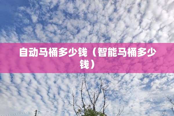 自动马桶多少钱（智能马桶多少钱）