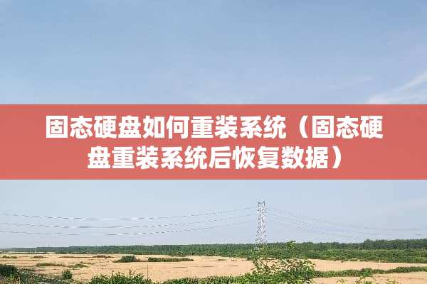 固态硬盘如何重装系统（固态硬盘重装系统后恢复数据）