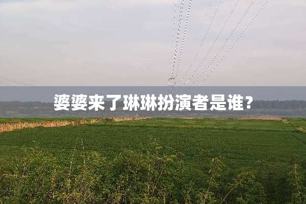 婆婆来了琳琳扮演者是谁？
