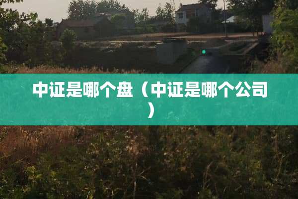 中证是哪个盘（中证是哪个公司）