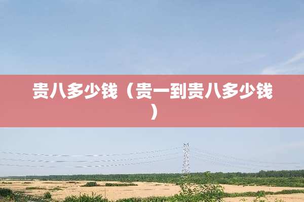 贵八多少钱（贵一到贵八多少钱）