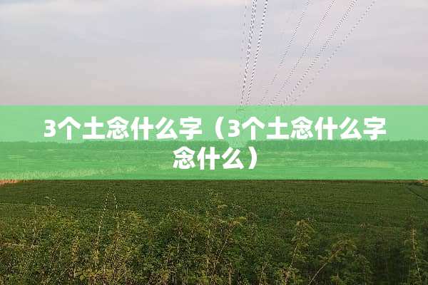 3个土念什么字（3个土念什么字念什么）