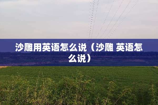 沙雕用英语怎么说（沙雕 英语怎么说）