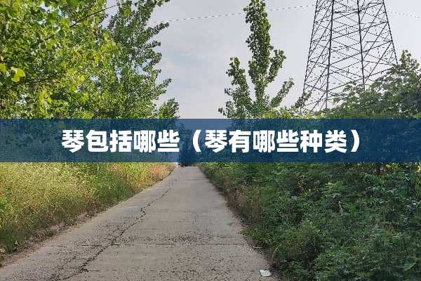 琴包括哪些（琴有哪些种类）