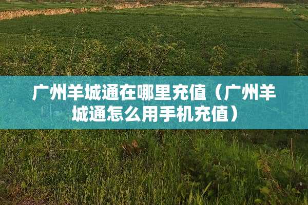 广州羊城通在哪里充值（广州羊城通怎么用手机充值）