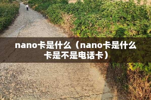 nano卡是什么（nano卡是什么卡是不是电话卡）