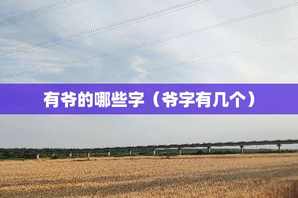 有爷的哪些字（爷字有几个）
