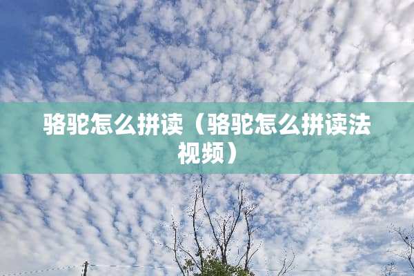 骆驼怎么拼读（骆驼怎么拼读法视频）