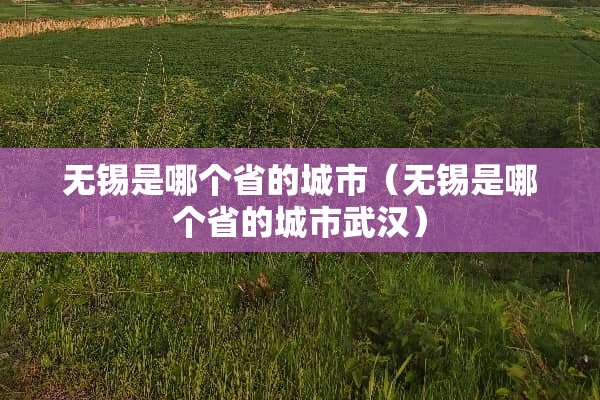 无锡是哪个省的城市（无锡是哪个省的城市武汉）