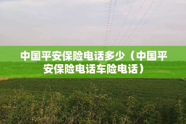 中国平安保险电话多少（中国平安保险电话车险电话）