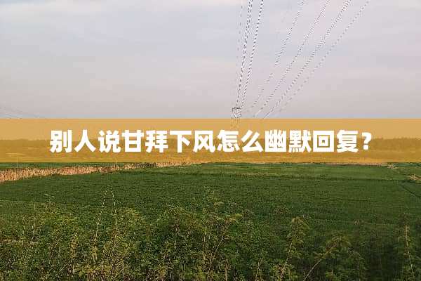 别人说甘拜下风怎么幽默回复？