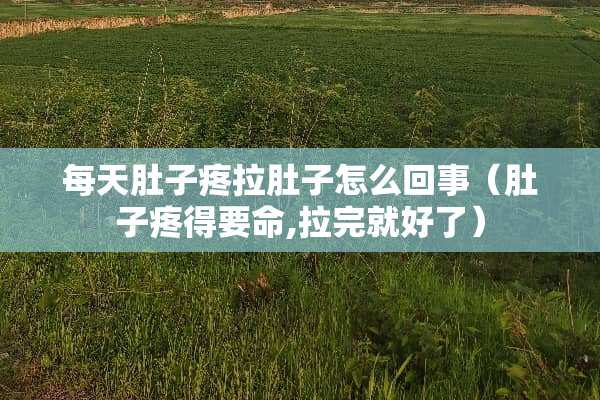 每天肚子疼拉肚子怎么回事（肚子疼得要命,拉完就好了）