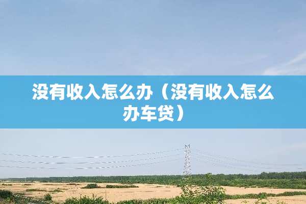 没有收入怎么办（没有收入怎么办车贷）