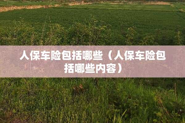 人保车险包括哪些（人保车险包括哪些内容）