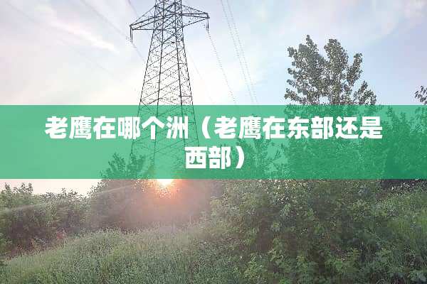 老鹰在哪个洲（老鹰在东部还是西部）
