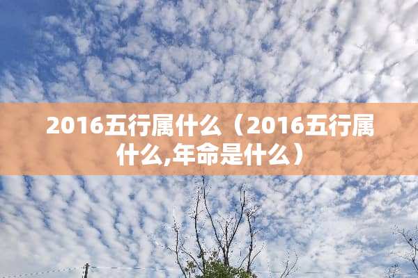 2016五行属什么（2016五行属什么,年命是什么）