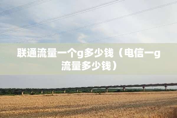 联通流量一个g多少钱（电信一g流量多少钱）