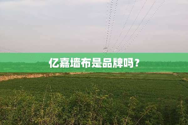 亿嘉墙布是品牌吗？