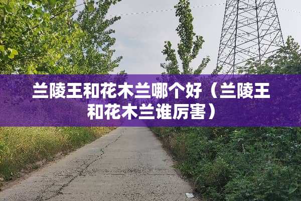 兰陵王和花木兰哪个好（兰陵王和花木兰谁厉害）