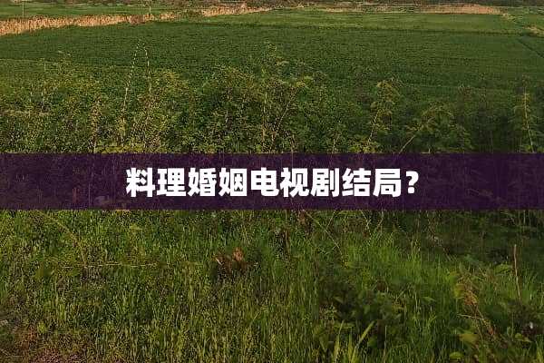 料理婚姻电视剧结局？