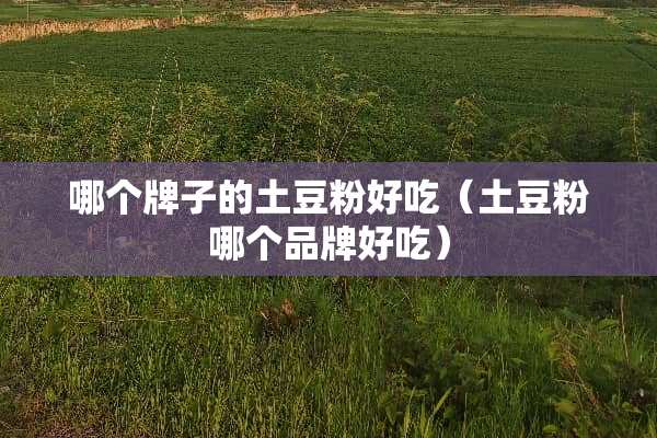 哪个牌子的土豆粉好吃（土豆粉哪个品牌好吃）