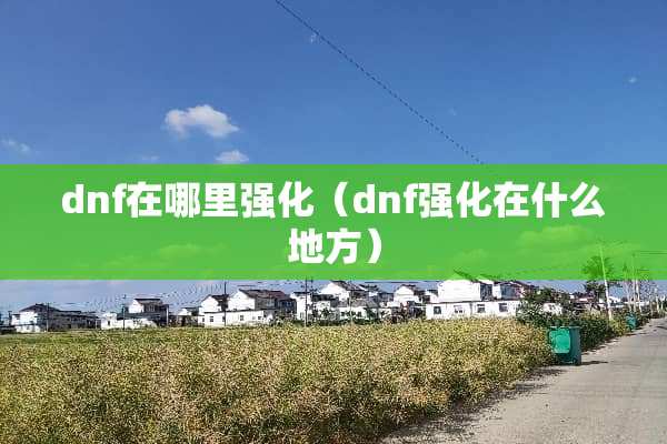 dnf在哪里强化（dnf强化在什么地方）