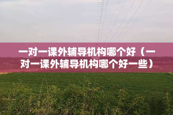 一对一课外辅导机构哪个好（一对一课外辅导机构哪个好一些）