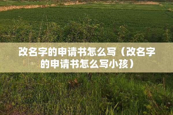 改名字的申请书怎么写（改名字的申请书怎么写小孩）