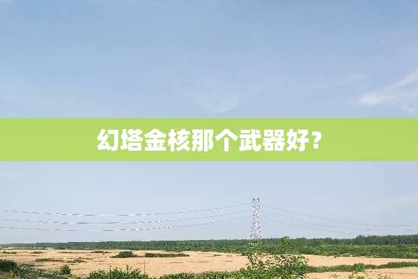 幻塔金核那个**好？