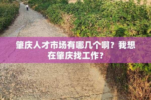 肇庆人才市场有哪几个啊？我想在肇庆找工作？
