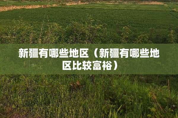 新疆有哪些地区（新疆有哪些地区比较富裕）