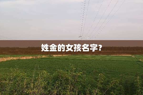 姓金的女孩名字？