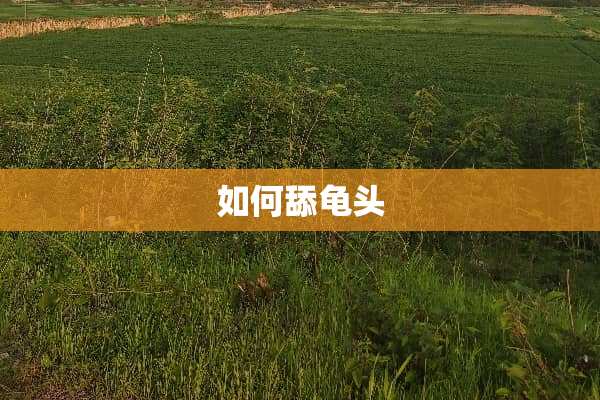 如何舔**