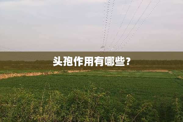 头孢作用有哪些？