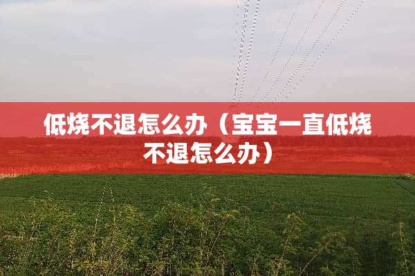 低烧不退怎么办（宝宝一直低烧不退怎么办）
