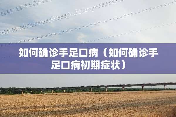 如何确诊手足口病（如何确诊手足口病初期症状）