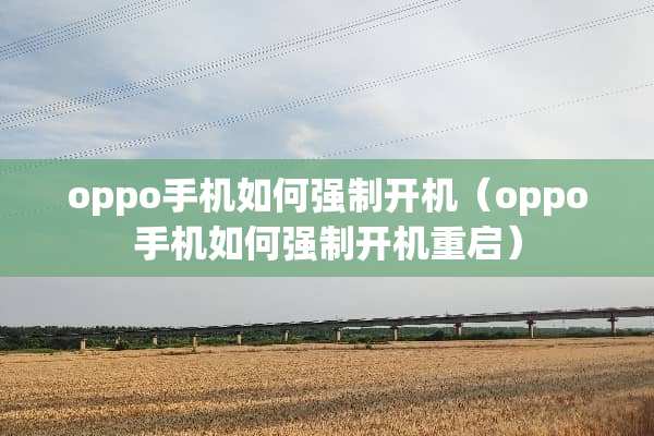 oppo手机如何强制开机（oppo手机如何强制开机重启）