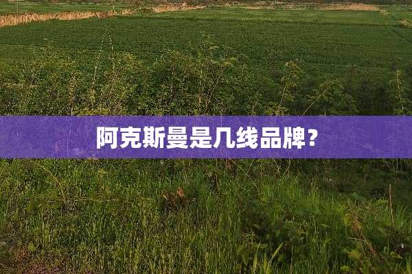 阿克斯曼是几线品牌？