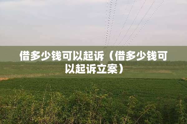 借多少钱可以起诉（借多少钱可以起诉立案）
