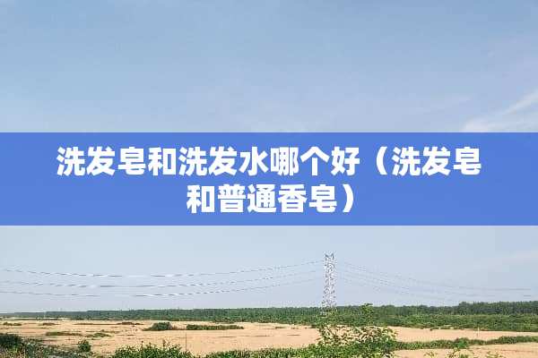 洗发皂和洗发水哪个好（洗发皂和普通香皂）