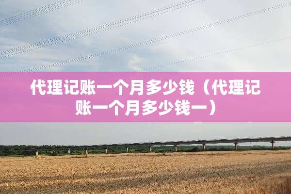 代理记账一个月多少钱（代理记账一个月多少钱一）