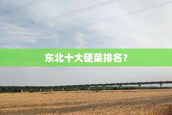东北十大硬菜排名？