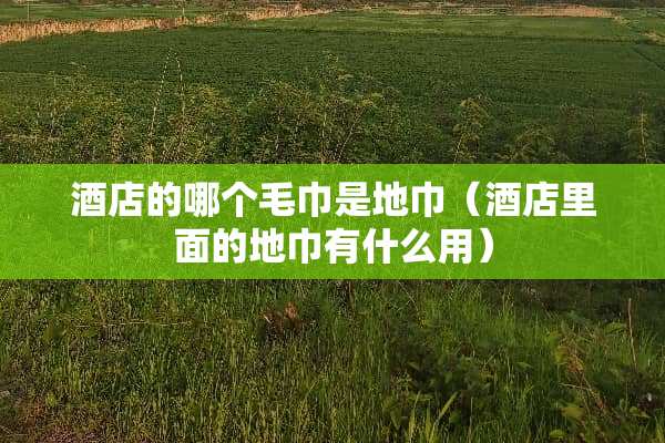 酒店的哪个毛巾是地巾（酒店里面的地巾有什么用）