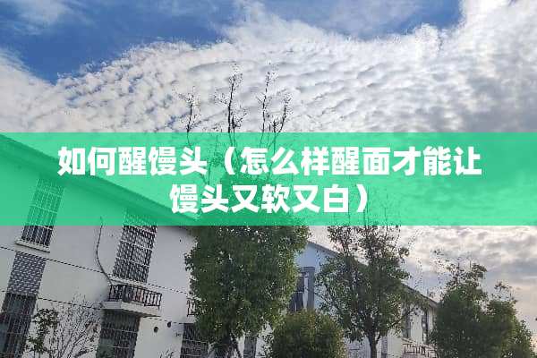 如何醒馒头（怎么样醒面才能让馒头又软又白）