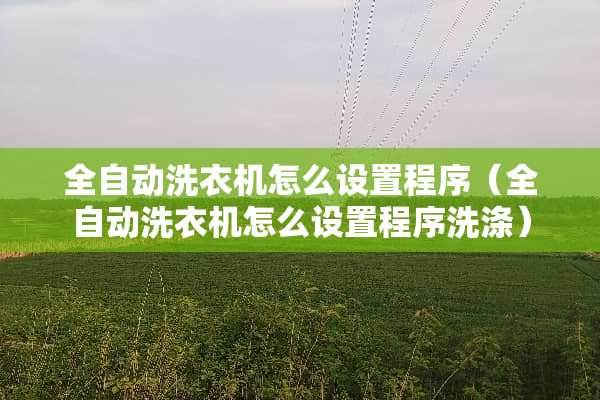 全自动洗衣机怎么设置程序（全自动洗衣机怎么设置程序洗涤）