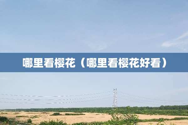 哪里看樱花（哪里看樱花好看）