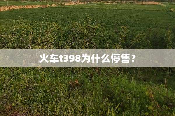 火车t398为什么停售？