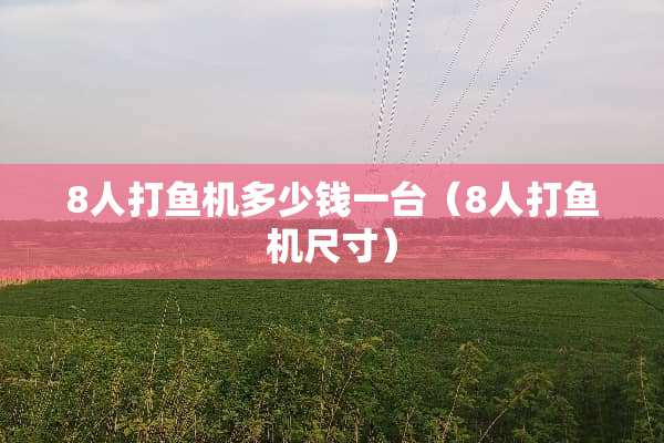 8人打鱼机多少钱一台（8人打鱼机尺寸）