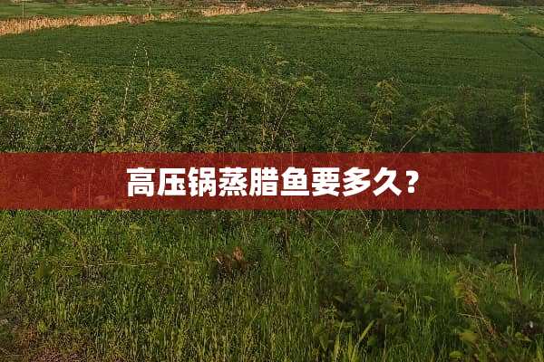 高压锅蒸腊鱼要多久？