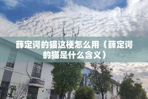 薛定谔的猫这梗怎么用（薛定谔的猫是什么含义）